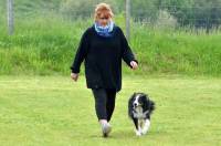 Le chien doit marcher près de son maître.