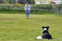 Le chien doit rester couché et attendre l&#039;ordre de son maître pour le rejoindre.