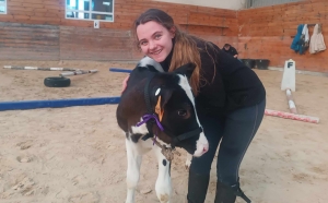 Yssingeaux : un concours bovin et équin pour les élèves au lycée agricole George-Sand