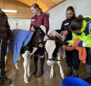 Yssingeaux : un concours bovin et équin pour les élèves au lycée agricole George-Sand