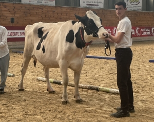 Yssingeaux : un concours bovin et équin pour les élèves au lycée agricole George-Sand