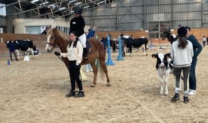 Yssingeaux : un concours bovin et équin pour les élèves au lycée agricole George-Sand