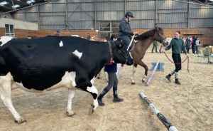 Yssingeaux : un concours bovin et équin pour les élèves au lycée agricole George-Sand