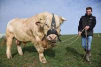 Saint-Maurice-de-Lignon : Ipod va défendre l&#039;élevage Merle au Salon de l&#039;agriculture