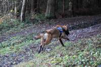 Le club canin des sucs participe au Téléthon