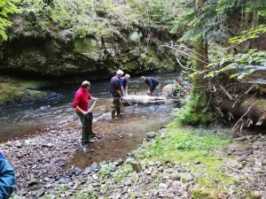 Raucoules : les pêcheurs nettoient les berges de la Dunière