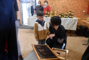 Freycenet-la-Tour : l&#039;abeille pique la curiosité