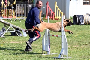 Monistrol-sur-Loire : 70 chiens ont concouru sur le parcours d&#039;agility