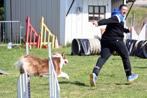 Monistrol-sur-Loire : 70 chiens ont concouru sur le parcours d&#039;agility