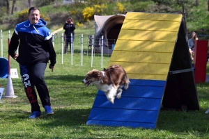 Monistrol-sur-Loire : 70 chiens ont concouru sur le parcours d&#039;agility