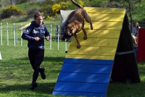 Monistrol-sur-Loire : 70 chiens ont concouru sur le parcours d&#039;agility