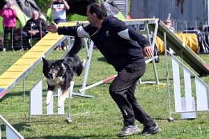 Monistrol-sur-Loire : 70 chiens ont concouru sur le parcours d&#039;agility