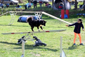 Monistrol-sur-Loire : 70 chiens ont concouru sur le parcours d&#039;agility