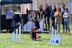 Monistrol-sur-Loire : 70 chiens ont concouru sur le parcours d&#039;agility