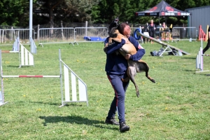 Monistrol-sur-Loire : 70 chiens ont concouru sur le parcours d&#039;agility