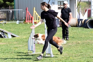 Monistrol-sur-Loire : 70 chiens ont concouru sur le parcours d&#039;agility