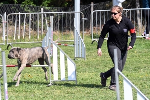 Monistrol-sur-Loire : 70 chiens ont concouru sur le parcours d&#039;agility