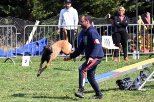 Monistrol-sur-Loire : 70 chiens ont concouru sur le parcours d&#039;agility