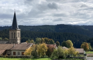 Deuxième Journée de la forêt de Saint-Julien-Molhesabate le 17 novembre