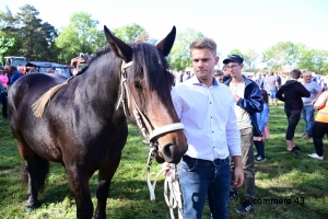 Saint-Julien-du-Pinet : les résultats du concours communal de chevaux lourds