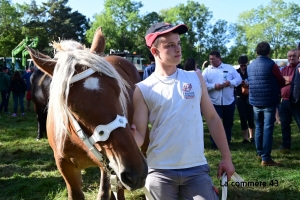 Saint-Julien-du-Pinet : les résultats du concours communal de chevaux lourds