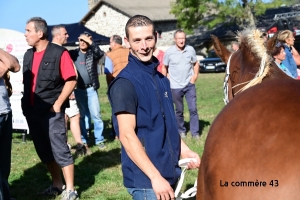 Saint-Julien-du-Pinet : les résultats du concours communal de chevaux lourds