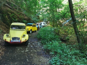 Ces 2CV montent les chemins aussi bien que les 4x4 modernes (vidéo)