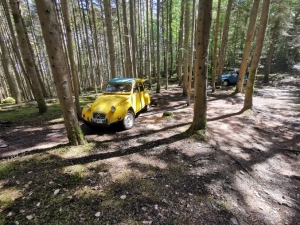 Ces 2CV montent les chemins aussi bien que les 4x4 modernes (vidéo)