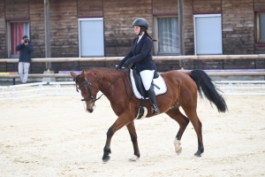 Equitation : plus de 100 engagés au concours de dressage à Yssingeaux