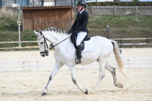 Equitation : plus de 100 engagés au concours de dressage à Yssingeaux