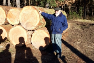 Joseph Varenne, petit-fils du planteur, devant les arbres coupés