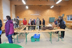 La sortie champignons a été un succès à Freycenet-la-Tour