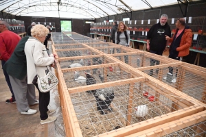 Saint-Julien-du-Pinet : des bêtes à poils et à plumes ouvrent la foire agricole