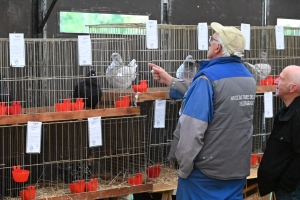 Saint-Julien-du-Pinet : des bêtes à poils et à plumes ouvrent la foire agricole