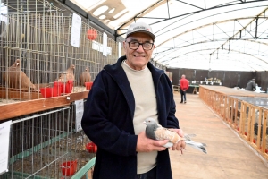 Saint-Julien-du-Pinet : des bêtes à poils et à plumes ouvrent la foire agricole