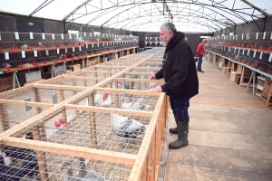 Saint-Julien-du-Pinet : des bêtes à poils et à plumes ouvrent la foire agricole