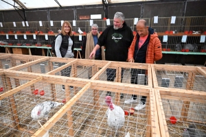 Saint-Julien-du-Pinet : des bêtes à poils et à plumes ouvrent la foire agricole