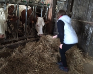 Bas-en-Basset : les CM2 de Louise-Michel visitent la ferme Dousson