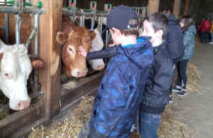 Bas-en-Basset : les CM2 de Louise-Michel visitent la ferme Dousson