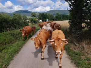 Bas-en-Basset : un agriculteur dénonce le projet d&#039;extension de la zone industrielle de la Gare