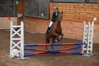 Yssingeaux : 180 cavaliers au concours de sauts d&#039;obstacles