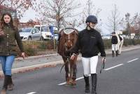 Yssingeaux : 180 cavaliers au concours de sauts d&#039;obstacles