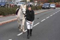 Yssingeaux : 180 cavaliers au concours de sauts d&#039;obstacles