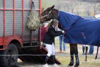 Yssingeaux : 180 cavaliers au concours de sauts d&#039;obstacles