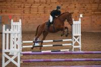 Yssingeaux : 180 cavaliers au concours de sauts d&#039;obstacles