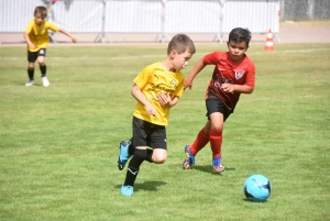 Sainte-Sigolène : 200 jeunes footballeurs U9 et U11 au tournoi Dowlex