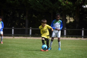 Sainte-Sigolène : 200 jeunes footballeurs U9 et U11 au tournoi Dowlex