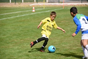 Sainte-Sigolène : 200 jeunes footballeurs U9 et U11 au tournoi Dowlex