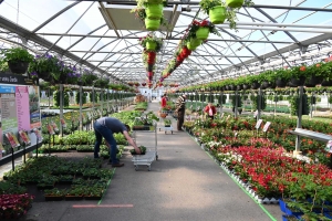 Le conseil du jardinier : plantez les fraises et préparez le potager