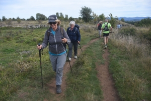 Le Grand Trail du Saint-Jacques 2021 en photos